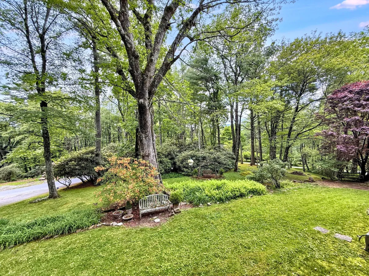 This exterior scene features a large garden tree shading a bench, surrounded by colorful shrubs and lush grass, creating a peaceful, secluded nook ideal for quiet reflection or reading.