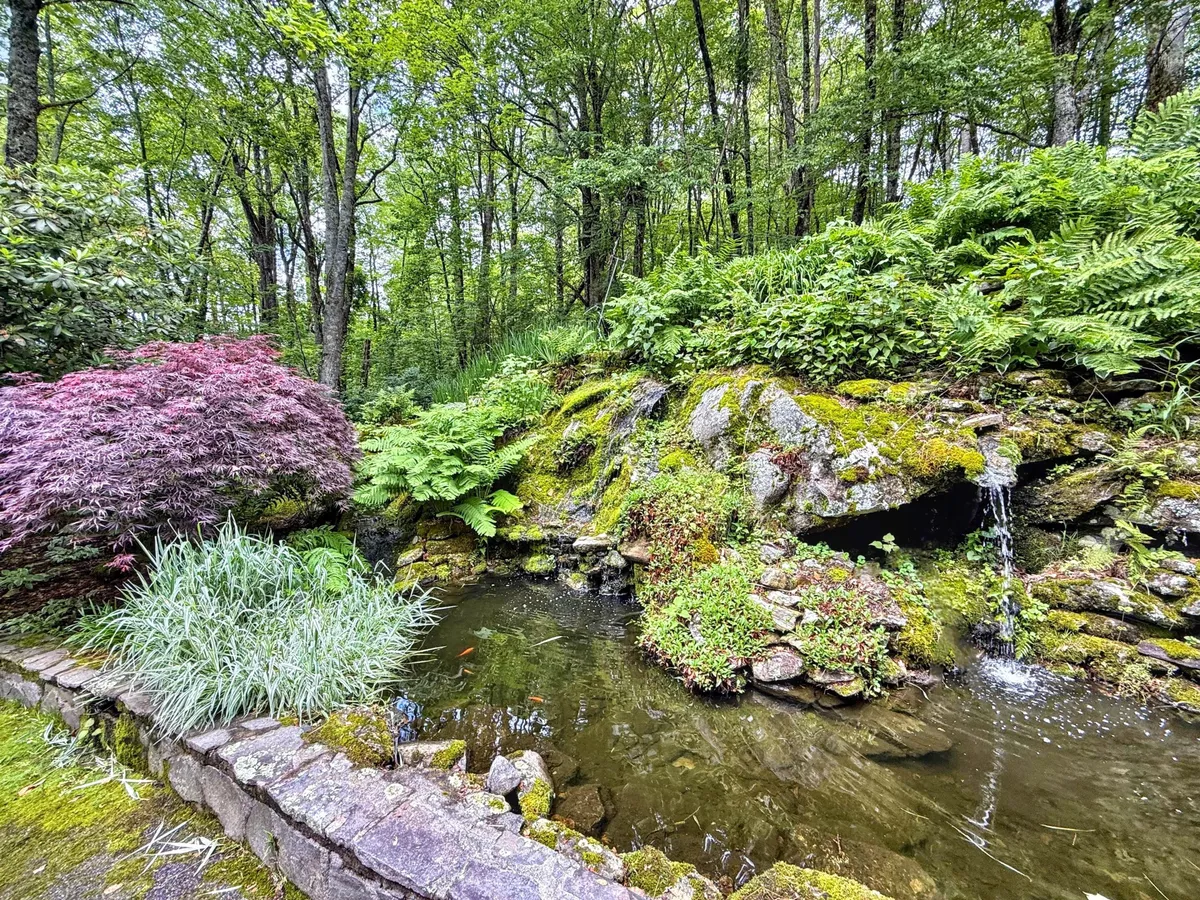 This image centers on a tranquil water feature set within lush greenery and blooming plants, with a natural rock formation at its core. The serene pond setting is reminiscent of a koi pond, and the surrounding foliage creates a secluded, contemplative oasis.