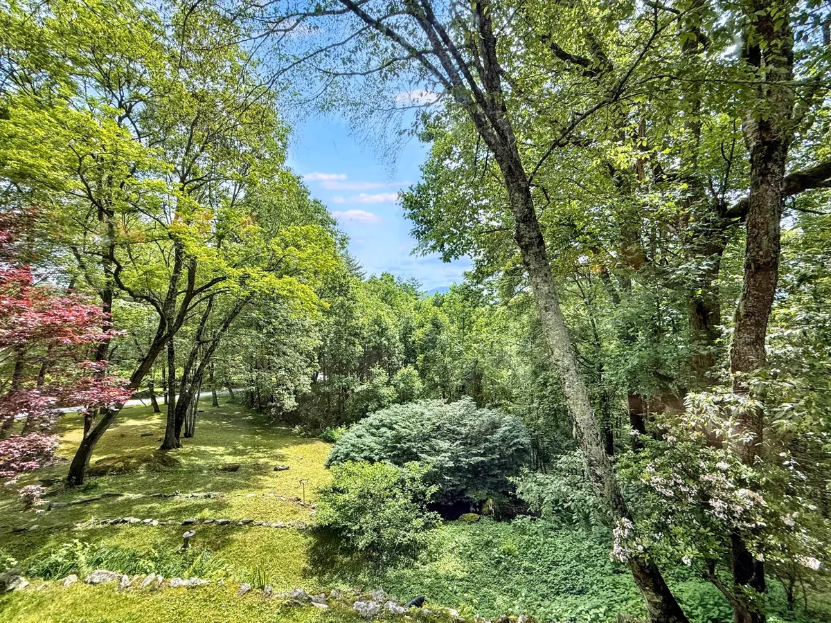 A scenic view highlights lush green trees, colorful foliage, and rolling hills beckoning in the distance. The open grassy area suggests space for outdoor activities, while the landscape hints at the beauty of nearby hikes and botanical gardens.