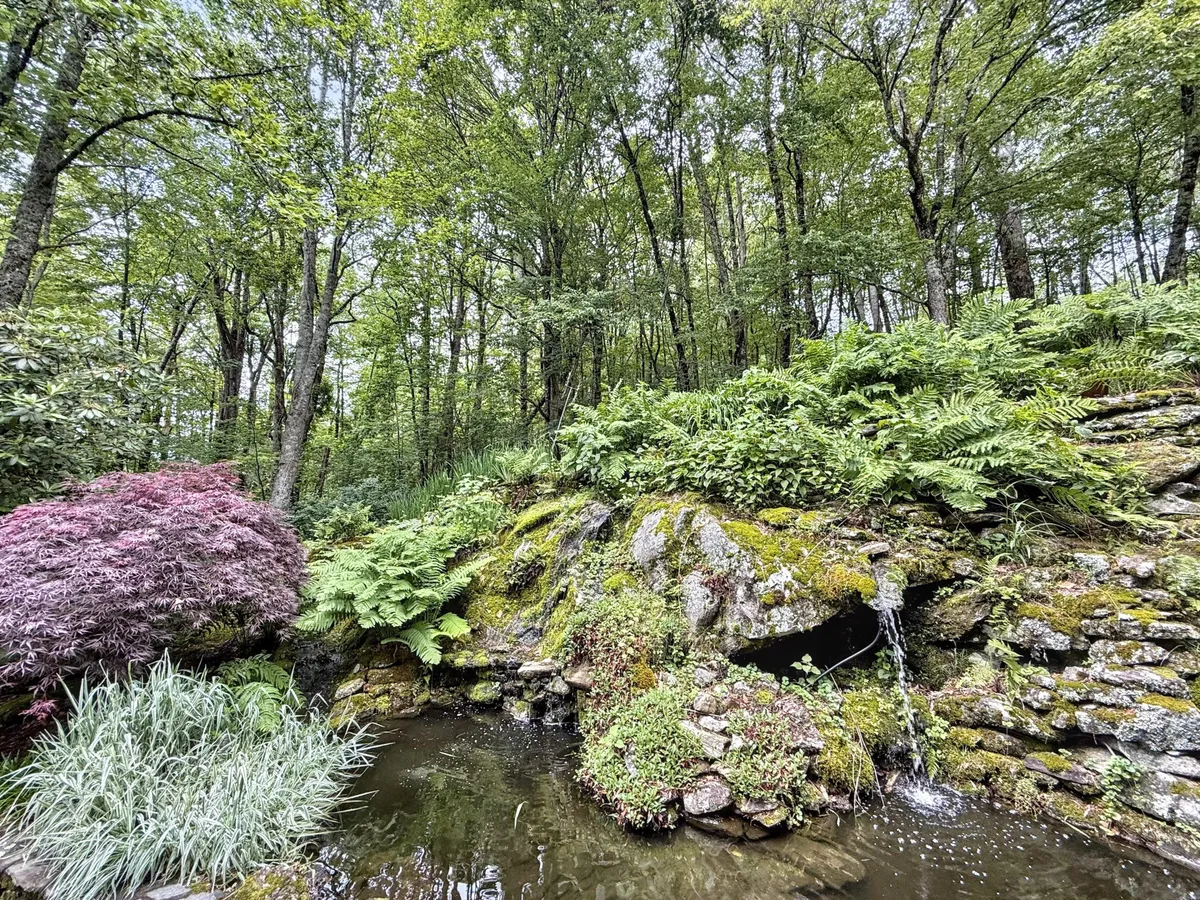 A tranquil garden scene featuring a waterfall cascading over mossy rocks into a still pond, surrounded by lush ferns and a Japanese maple. The natural elements create a peaceful setting ideal for meditation or quiet reflection.