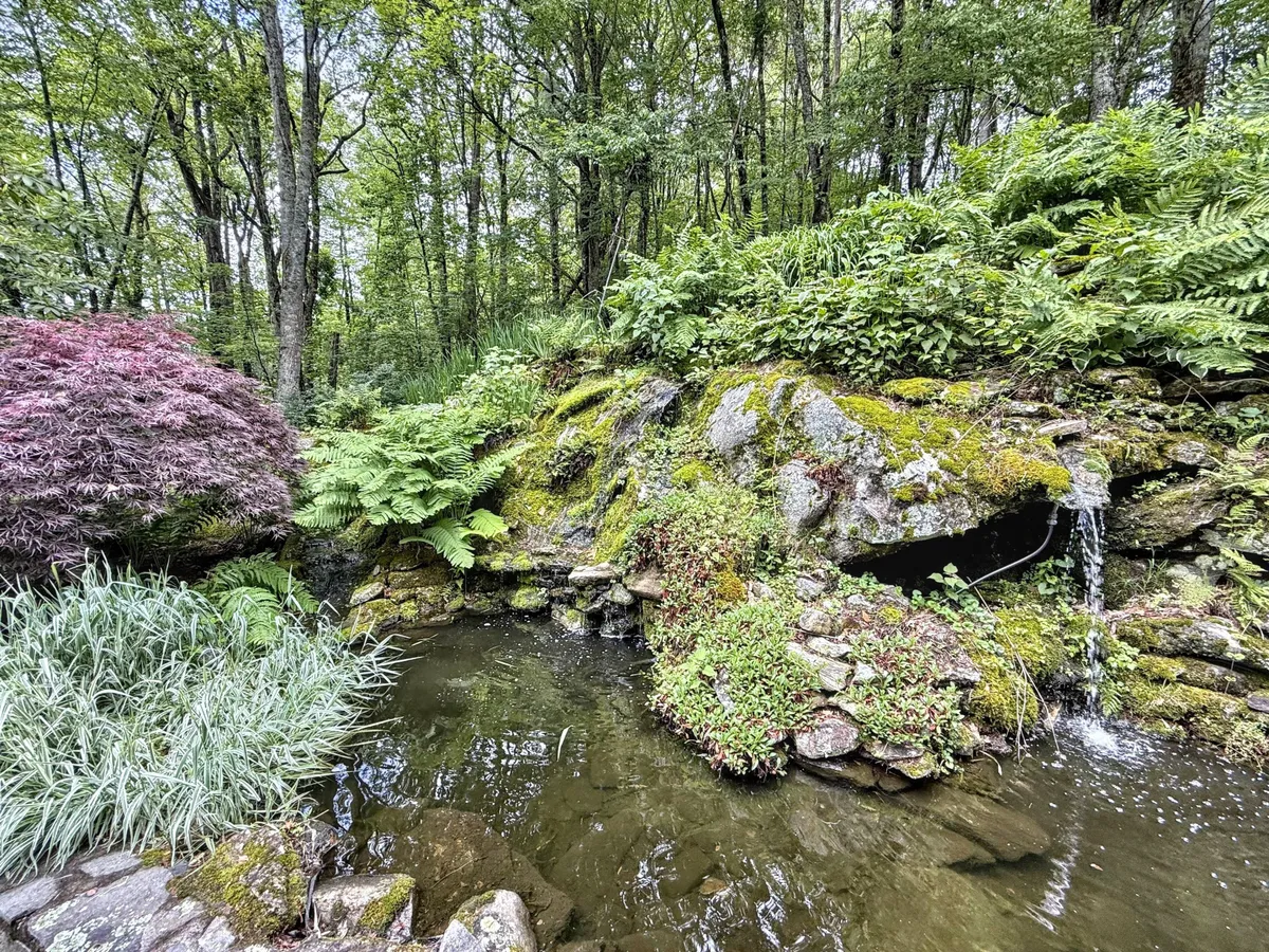 A serene natural landscape with moss-covered rocks, a small cascading waterfall, and vibrant ferns and shrubs, all suggesting a space for peaceful outdoor activity and meditation.